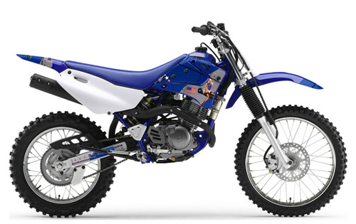 Download Yamaha Ttr-125 repair manual